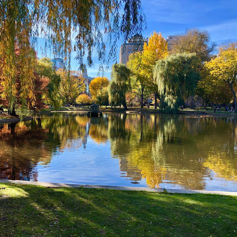 Boston Common - 2019 All You Need to Know BEFORE You Go (with Photos) - TripAdvisor Boston Common Aesthetic, Boston Common Park, Boston University Aesthetic, Boston College Aesthetic, Boston Commons, Boston Aesthetic, Boston Attractions, City Life Aesthetic, Boston Trip