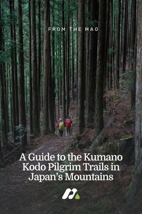 Kumano Kodo, Adventure Magazine, Sacred Mountain, Shinto Shrine, Largest Waterfall, Ancient Temples, Best Hikes, 14th Century, Pilgrimage