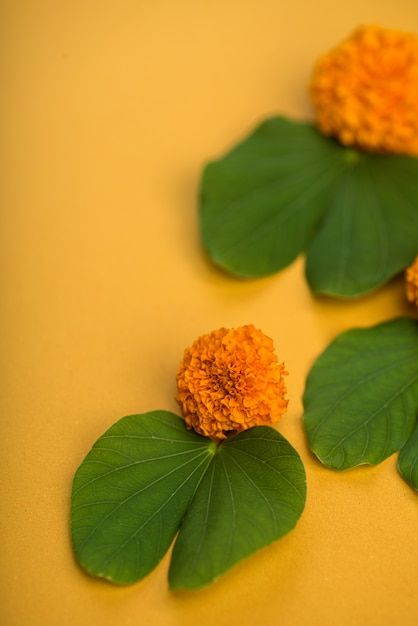 Indian festival dussehra, showing golden... | Premium Photo #Freepik #photo #dasra #ramayana #happy-dussehra #dussehra Marigold Flowers, Happy Dussehra, Yellow Table, Golden Leaf, Indian Festival, Marigold Flower, Store Ideas, Golden Leaves, Indian Festivals