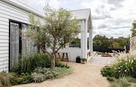 Farm Exterior, Olive Trees Landscape, Olive Trees Garden, Melbourne House, Interior Design Photos, Garden Architecture, Countryside House, Outdoor Entertaining Area, Garden Tours