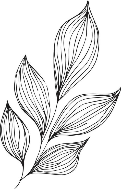 botanical vector illustration coloring page, simplicity, Embellishment, monochrome, vector art, Outline print with botanica leaf of branch, botanical leaves, and buds, minimalis botanical tattoos. Outline Leaves, Leaves Outline, Leaf Vector Illustration, Outline Flowers, Botanical Tattoos, Botanical Vector, Art Outline, Leaf Vector, Botanical Leaves