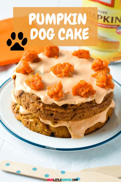 Dog Cake Peanut Butter, Cake Mix For Dogs, Pumpkin Puree Dog Recipes, Dog Pumpkin Birthday Cake, Homemade Birthday Cake For Dogs, Birthday Cake For Puppies, Dog Friendly Pumpkin Cake, Pumpkin Food For Dogs, Dog Cake Homemade Easy