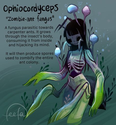 Feefal Art, Fictional Disease Art, Fantasy Creatures Art, Mushroom Art, Creature Concept Art, Creature Concept, Sketchbook Art Inspiration, Japanese Artists, Art Inspiration Drawing