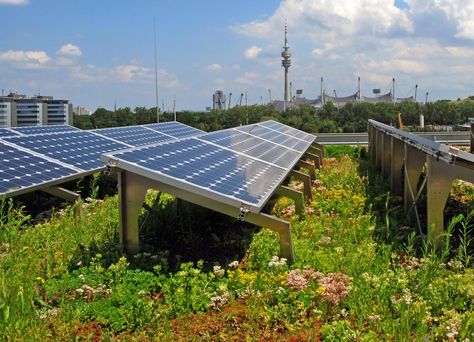 The combination of solar energy system and green roof achieves clear synergy effects. Green Roofs, Architecture Green Roof, Green Roof With Solar Panels, Green Roof Solar Panels, Green Roof And Solar Panels, Solar Panel Roof Design Green Building, Biosolar Green Roof, Green Roof Project, Diy Solar Power System