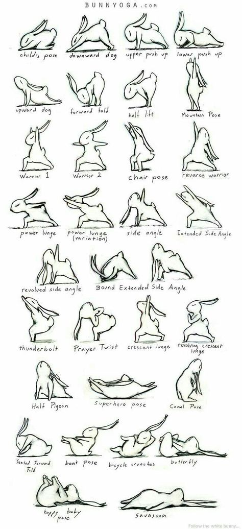 I think this is just cute Bunny Yoga, Morning Yoga Sequences, Yoga Ashtanga, Yoga Nature, Yoga Iyengar, Yoga Journal, Yoga Photography, Yoga Postures, Yoga Stretches