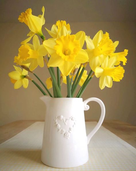 Jug Of Flowers, Vase Of Daffodils, Daffodils In Vase, Daffodil Arrangements, Grandma Painting, Welcome February, Favorite Flower, New Month, Simple Flowers