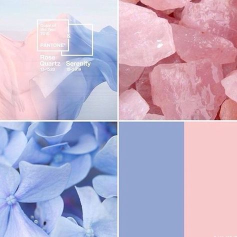 Pantone Serenity, Pantone Rose Quartz, Serenity Color, Pantone 2016, Rose Quartz Serenity, Serenity Blue, Summer Wedding Colors, Theme Color, Popular Colors