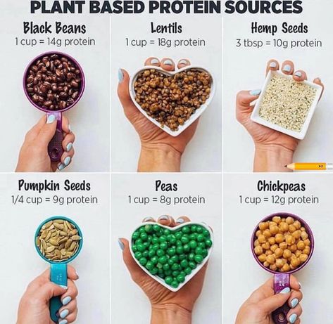 Protien Diet, Plant Based Protein Sources, Vegan Protein Sources, Low Fat Cheese, Low Carb Diet Recipes, Protein Diets, Vegan Protein, Healthy Eating Tips, Protein Snacks