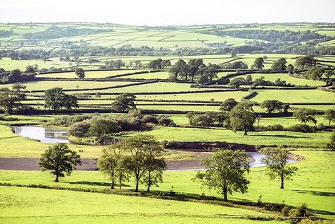 Natural Resources Wales / Ecosystem resilience field guide Natural Resource Management, Urban Habitat, Natural Resource, Street Trees, Land Management, Community Gardening, Water Quality, Field Guide, Natural Resources