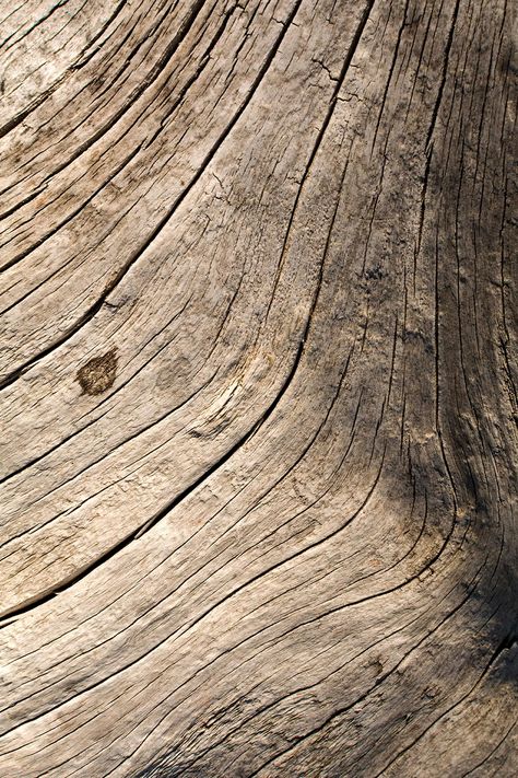 Wood Texture Photography, Rustic Wood Aesthetic, Natural Texture Aesthetic, Wood Grain Aesthetic, Wood Astethic, Natural Texture Inspiration, Natural Wood Aesthetic, Driftwood Texture, Log Background