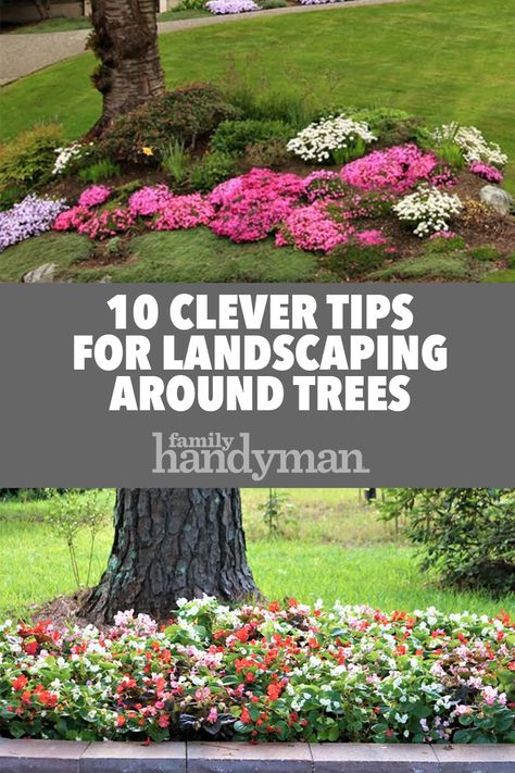 10 Clever Tips for Landscaping Around Trees Around Trees Landscaping, Trees Landscaping, Shade Landscaping, Plants Under Trees, Landscaping With Large Rocks Front Yard, Landscaping Around Trees, Landscaping Trees, Shade Garden Plants, Landscaping With Boulders