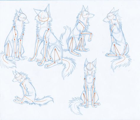 How to drw Wolves Part 3-body by Kimai on DeviantArt Wolf Skeleton Drawing, Wolf Study, Wolf Sitting, Wolf Poses, Wolf Sketch, Animal Sketch, Canine Drawing, Some Drawings, Wolf Drawing