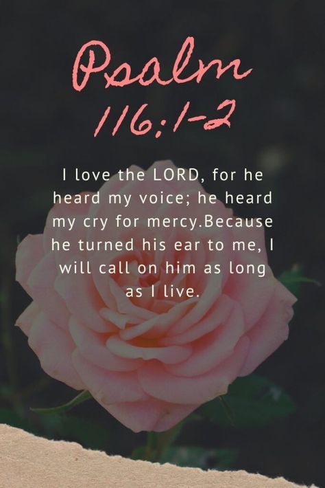 I love the Lord, for he heard my voice; he heard my cry for mercy. Because he turned his ear to me, I will call on him as long as I live. Bible Verses For Comfort, Verses For Comfort, Comfort Verses, Psalm 116, Bible Verses Kjv, I Love The Lord, Book Of Psalms, Beautiful Bible Verses, Prayer Verses