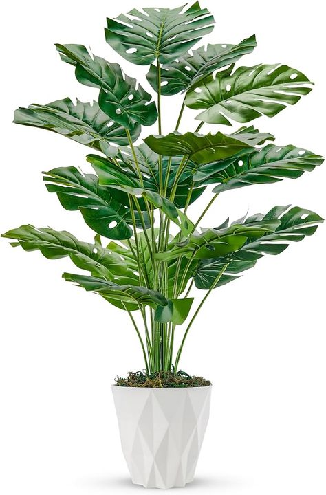 Amazon.com: Der Rose 2 Packs 28" Fake Plants Large Artificial Monstera Faux Plants Indoor with White and Black Pots for Home Office Living Room Decor : Home & Kitchen Large Fake Plants, Artificial Indoor Plants, Artificial Plants Indoor, White Pot, Plants Indoor, Home Office Living Room, Artificial Trees, Planting Roses, Fake Plants