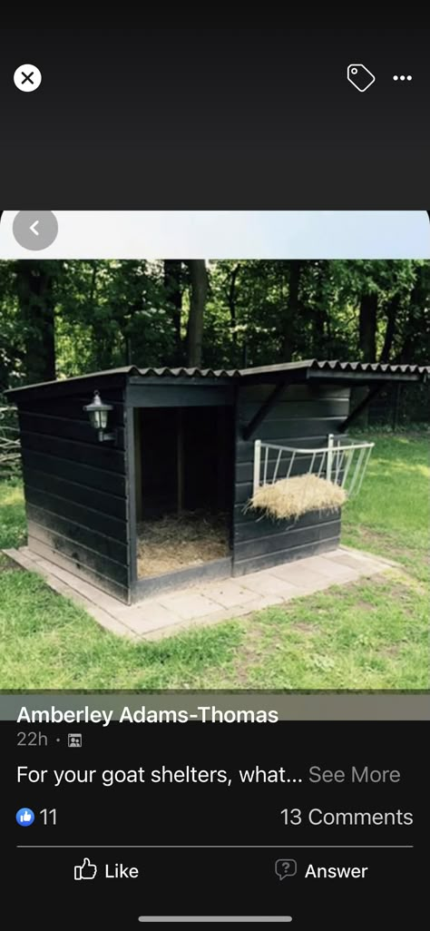 Goat House Made Out Of Pallets, Goat And Pig Pen, Diy Goat Pen Fence, Mini Highland Cow Shelter, Backyard Goat Pen, Simple Goat Pen, Farm Animal Shelter Ideas, Sheep House Diy, Pig Kennel Ideas