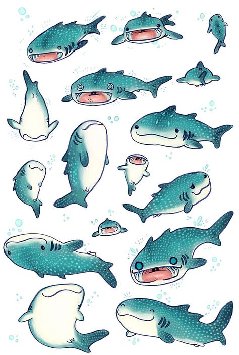 whale sharks! Flip Animation, Shark Board, Whale Drawing, Whale Sharks, Shark Art, Cute Shark, Oceanography, Whale Shark, Marine Animals