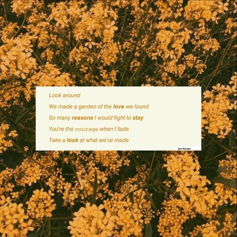 yellow
honey 
bee
honeybee
song
lyrics
the head and the hearts Honeybee The Head And The Heart, The Head And The Heart, Head And The Heart, Story Aesthetic, Phone Stuff, The Head, Dorm Room, Cards Against Humanity, Music