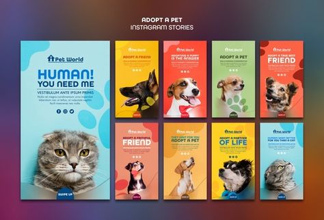 Free PSD | Instagram posts pack for pet adoption with animals Dog Instagram Story Template, Pet Poster Design, Pet Websites, Pet Advertising, Pet Instagram, Pet Food Packaging, Pet Branding, Animal Adoption, About Instagram