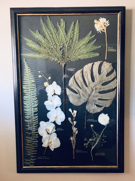 One of my favorite flower displays, the scientific herbarium... how perfect to use this for your wedding flowers and have the scientific name included Pressed Botanical Art, Preserved Bouquet, Bouquet Art, Wedding Bouquet Preservation, Pressed Flower Crafts, Floral Arranging, Wall Diy, Bouquet Preservation, Preserved Flowers