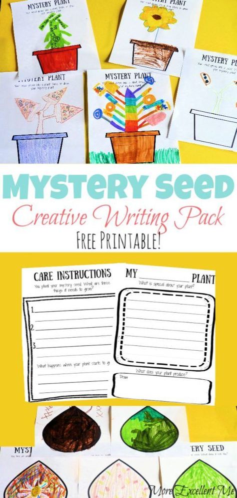 This fun and free printable spring mystery seed creative writing pack is the perfect activity for early elementary age kids. Flower Writing Prompt, Fun Writing Activities For Kids, Spring Writing Activities, Summer Writing Activity, Spring Writing Activity, April Writing, Spring Writing Prompts, Creative Writing For Kids, Creative Writing Worksheets