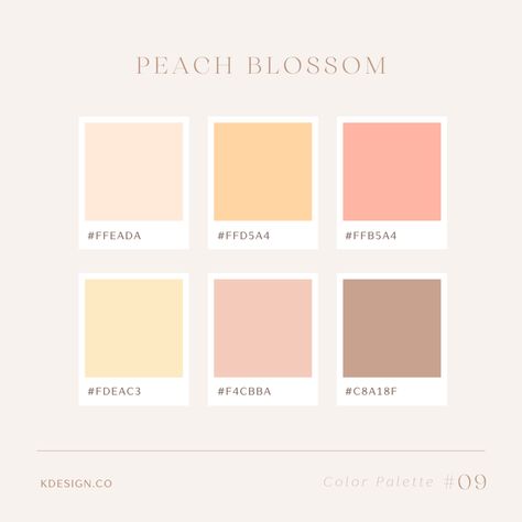 Pink Hex Color Palette, Peach Hex Color Code, Peach Brand Color Palette, Calming Calendar Hex Codes, Color Schemes Colour Palettes Hex Codes, Summer Color Hex Codes, Canva Pink Color Palette, Google Color Palette Codes, Neutral Pink Color Palette Hex Codes