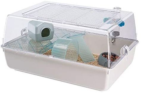 Plastic Hamster Cage, Kandang Hamster, Transparent Roof, Small Hamster, Hamster Cage, Painted Metal, Hamsters, Air Vent, Metallic Paint