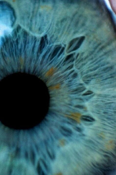 Iris Drawing, Eye Iris, Requiem For A Dream, Eye Close Up, Close Up Photography, Aesthetic Eyes, Blue Eye, Awesome Art, Pretty Eyes