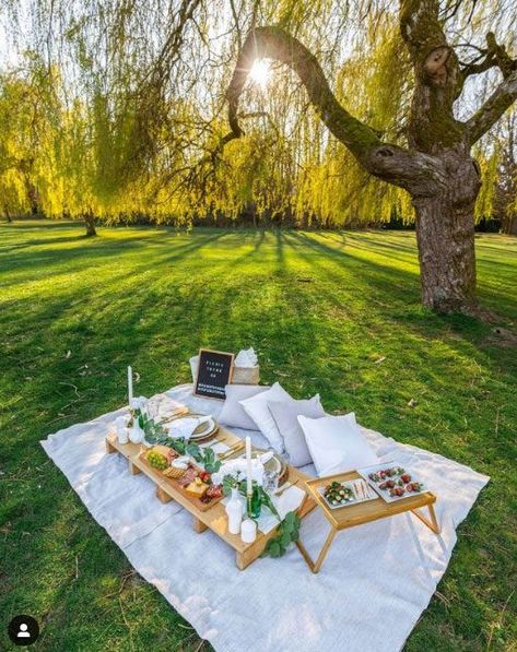 Luxury picnic inspiration and styling. Park picnic. Outdoor Picnic Setup Ideas, Backyard Celebration Ideas, Country Picnic Aesthetic, Romantic Picnic Decor Ideas, Outdoor Picnic Date Ideas, Red Luxury Picnic Setup, Backyard Picnic Ideas Romantic, Outdoor Birthday Party Set Up Ideas, Picnic Decor Ideas Outdoor