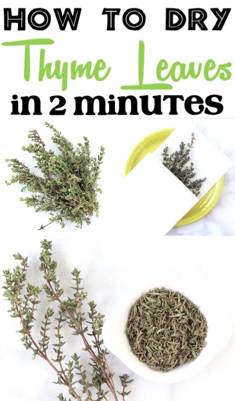 How to Dry Thyme Leaves in 2 Minutes! {Dried Herb Trick} Drying Thyme, Thyme Uses, Honey Garlic Ribs, Preserve Fresh Herbs, Drying Fresh Herbs, Mason Jar Herbs, Thyme Plant, Mason Jar Herb Garden, Honey Garlic Pork Chops