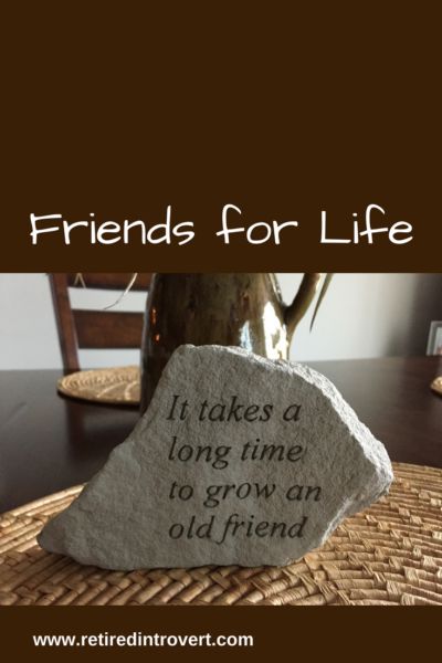 Lifelong Friend Birthday Quotes, Lifelong Friend Quotes, Lifelong Friendship Quotes, Kinds Of Friends, Friendship Tips, Inspirarional Quotes, Friends For Life, Friend Birthday Quotes, Lifelong Friends