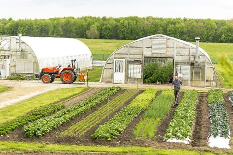 Veggie Garden Layout, Layout Home, Design Backyard, Backyard Garden Layout, Garden Layout Vegetable, Farm Market, Vegetable Garden Design, Garden Layout, Veggie Garden