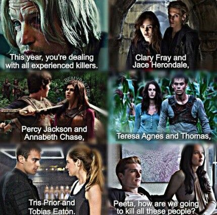 Percy Jackson Fanfiction, Peeta Katniss, Percy Annabeth, Book Fandoms Unite, Fandom Unite, Divergent Series, Fandoms Unite, Fandom Crossover, The Fault In Our Stars