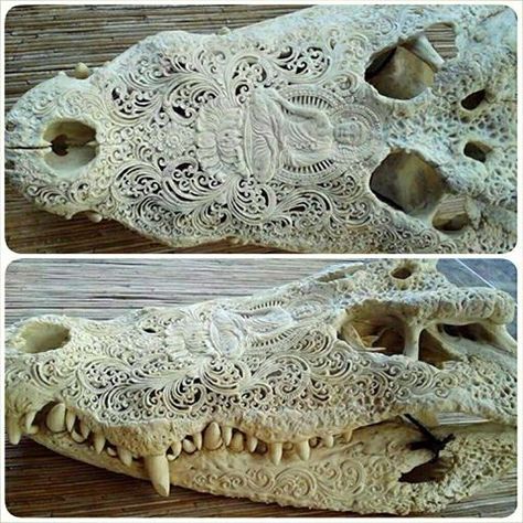 Crocodile skull (ethically sourced) carved by the artists at Bali Organic Arts in Tampaksiring. Alligator Skull, Animal Skull, Organic Art, Bone Art, Skull Painting, Skull Carving, Cow Skull, Bone Carving, Animal Skulls