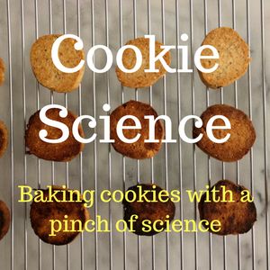 Cookie science - baking cookies with a pinch of science Cookie Science, Scone Dough, Cooking Science, How To Make Scones, Cranberry Cheese, Crunchy Cookies, Baking Cookies, Do's And Don'ts, Scone Recipe