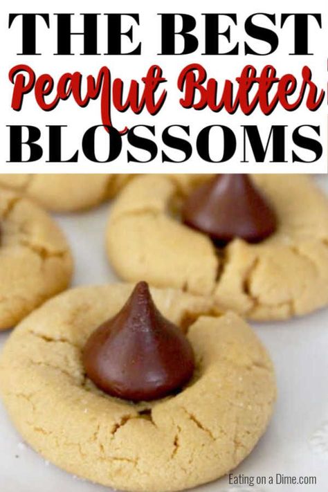 Hershey Kiss Cookie, Peanut Butter Hershey Kiss Cookies, Peanut Butter Kiss Cookies Recipe, Kiss Cookie, Kiss Cookie Recipe, Peanut Butter Blossoms Recipe, Hershey Kiss Cookies, Peanut Butter Kiss, Peanut Butter Blossom