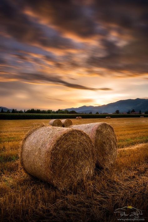 Hay Farm, Agriculture Pictures, Country Images, Farm Photography, Fields Of Gold, Photographie Portrait Inspiration, Scenic Photos, Hay Bales, Farm Art