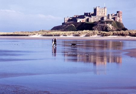 Bamburgh Castle Bamborough Castle, Dunstanburgh Castle, Bamburgh Castle, Inspiring Places, English Castles, Castles In England, Castle Ruins, Listed Building, Photo Reference