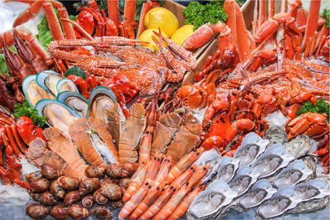 Seafood On Ice Display, Seafood On Ice, Seafood Display, Fresh Seafood Market, International Buffet, Fruit Buffet, Phuket Beach, Mouthwatering Desserts, Bbq Seafood