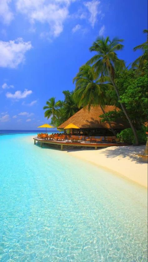 🌴TROPICAL DREAMS on Pinterest… #tropicaldreamsonpinterest #tropicaldreamsoninstagram #aquadream #bluewater #aquadreams #aquabluewater #tropical #tropic #tropicalwater #tropics #aquadreams #borabora #boraboraislands #boraborabeauty #boraborabluewater Beautiful Beach Pictures, Tropical Beaches, Beach Wallpaper, Beaches In The World, Beautiful Photos Of Nature, Beautiful Nature Pictures, Beautiful Places To Travel, Beautiful Islands, Beach Resorts