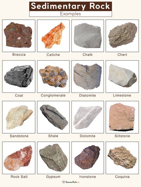 Igneous Rocks Pictures, Rock Identification Chart, Rock Identification Pictures, Types Of Quartz, Sedimentary Rock Formation, Geology Rocks Mineral, Types Of Rocks, Geology Humor, Raw Gemstones Rocks