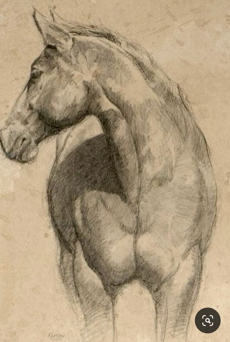 Art Aesthetic Drawing, Horse Pencil Drawing, Jesus Art Drawing, Horse Art Drawing, Watercolor Paintings Of Animals, Horse Sketch, Sketches Art, Horse Artwork, Equestrian Art