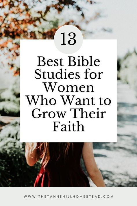 Scriptures To Study, Best Bible For Beginners, Best Study Bibles For Women, Bible Reading For Women, Daily Bible Devotions For Women, Single Woman Bible Study, 2024 Bible Study, Women Of God Bible Study, Women’s Devotional Bible