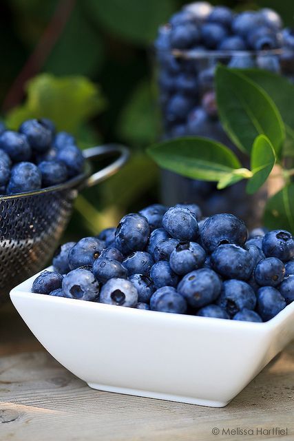 ~~blueberries by mhchipmunk~~ Full of Anti-Oxidants -- I just tried a toasted Bagel with Blueberries (In the bagel) Wow ! Delicious! With Tofutti Cream Cheese. Like a dessert. Eyes Bigger, Basic Food, Eat Better, Beautiful Fruits, Izu, Delicious Fruit, Fruit Art, Tutti Frutti, Fruit And Veg