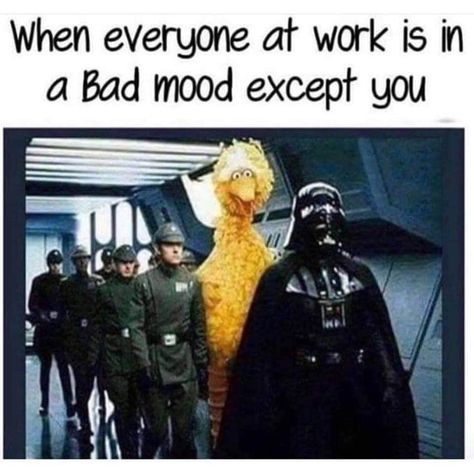 big bird darth vader meme - When everyone at work is in a bad mood except you Day Off Humor Work, Memes Nursing, Nursing Pictures, Workplace Humor, Work Fun, Humor Mexicano, Nursing Memes, Office Humor, Work Memes