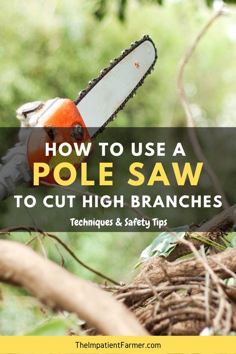 It's tree trimming time! 🌳 Learn the basic steps for using a pole saw properly and take the necessary safety precautions to prevent injury to yourself and your property. 👷🏻‍♂️ . #backyard #treecare #landscaping Electric Pole, Wood Splitting, Tree Felling, Pole Saw, Farm Stuff, Garden Power Tools, Safety Precautions, Hedge Trimmers, Tree Service