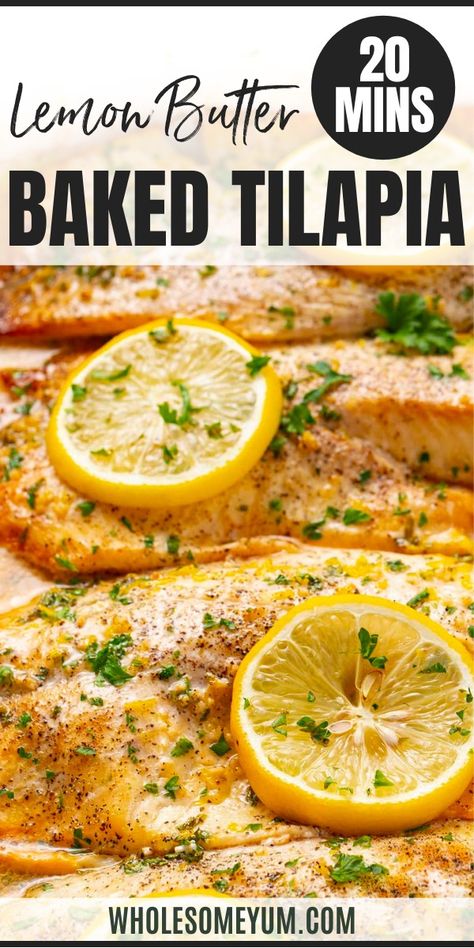 Lemon Butter Baked Tilapia Recipe Sheet Pan Tilapia Recipes, Ways To Make Tilapia, How Long To Bake Tilapia, Best Tilapia Recipes, Cilantro Lime Tilapia Baked, Broil Tilapia In Oven, Oven Talipia, Quick And Easy Tilapia Recipes, Lemon Tilapia Baked