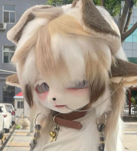 Bunny Kemonomimi, Chinese Fursuit, Kig Fursuit, Kigurumi Fursuit, Plushie Ideas, Kemono Fursuit, Fur Suits, Bakugo Katsuki Fanart Cute, Funny Looking Cats