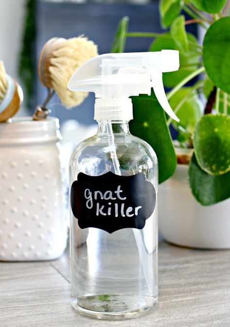 3 Ingredient Homemade Gnat Killer - If your home is infested with fruit flies, then you need this easy DIY gnat killing spray in your life! Diy Gnat Spray, Fruit Fly Spray, How To Kill Gnats, Gnat Spray, Gnats In House Plants, Fruit Fly Killer, Fruit Flies In House, Homemade Bug Spray, Ant Spray