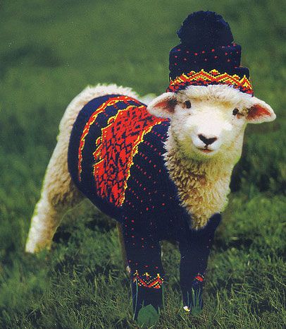 19 Photos Of Sheeps Wearing Sweaters | Celebrity Gossip + Entertainment News | VH1 Celebrity Oita, Goats In Sweaters, Photo Animaliere, Baby Sheep, Sheep And Lamb, Cute Sheep, A Sheep, صور مضحكة, 귀여운 동물