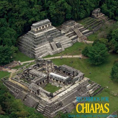 Palenque Chiapas Maya Ruins, Curvy Girl Outfits, Central America, Amazing Things, City Photo, Girl Outfits, House Styles, Architecture, Building